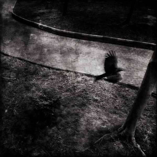 cc攻击免费网页版